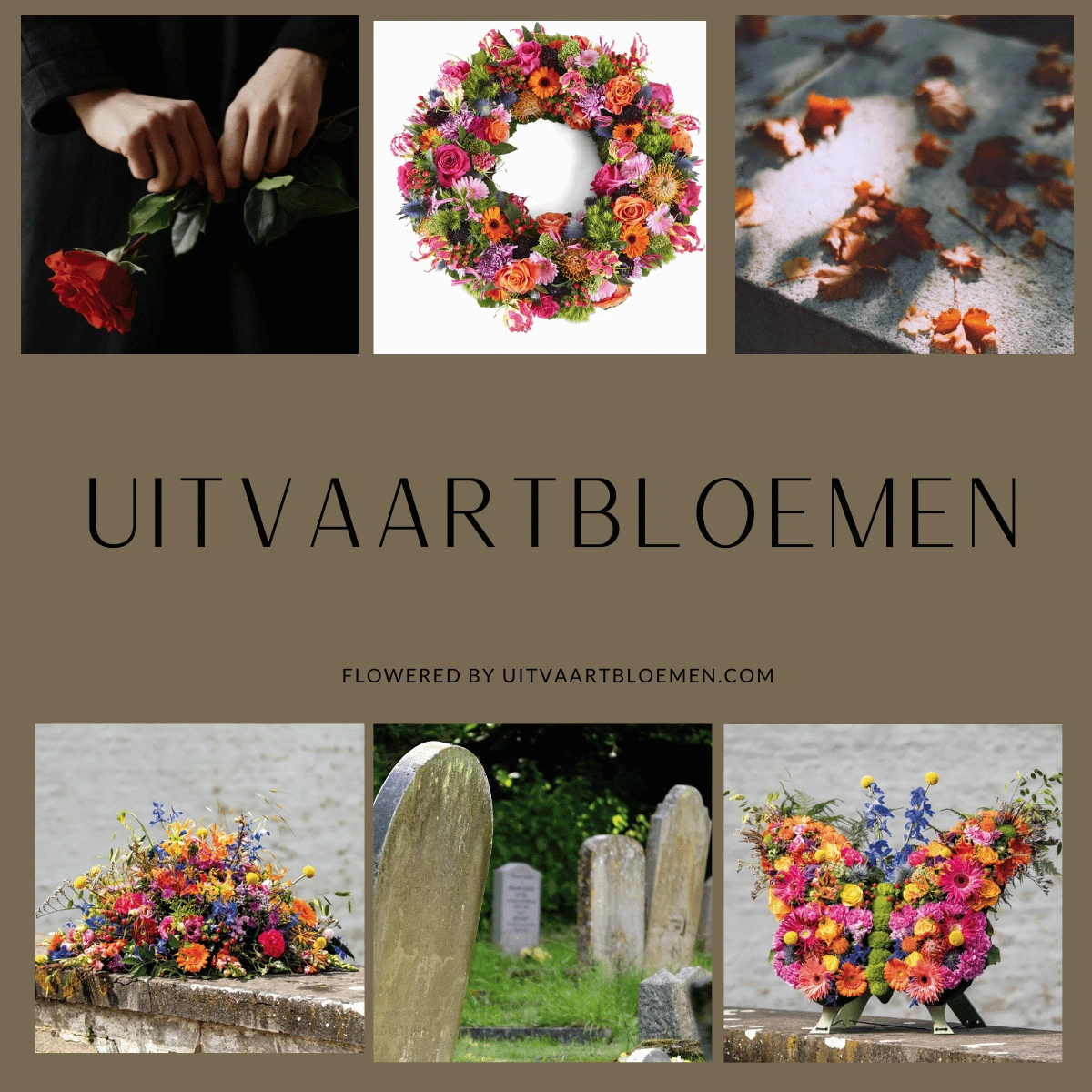 Bloemen Albergen